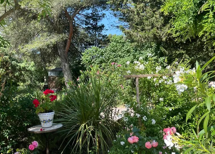 Le Mazet En été En Garrigue Nimoise Et Parking Maison d'hôtes Nîmes